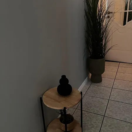 Apartment Amonis House *